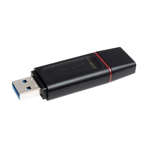 USB Memory stick Kingston 256, USB3.2, DTX/25…