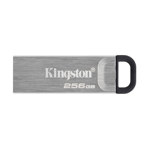 USB Memory stick Kingston DTKN/256GB USB3.2 D…